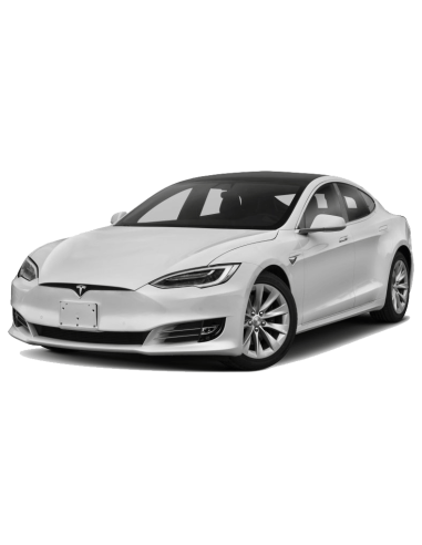 Discos Delanteros Sport Oem+ (G.N) Ø320 Tesla Model 3 (5Yj3) Ev (192Kw) / Ev All-Wheel Drive (258Kw)