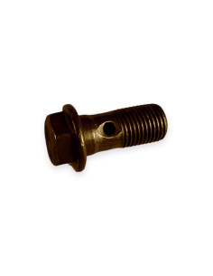 ECO LINE STEEL BANJO BOLT M10X100