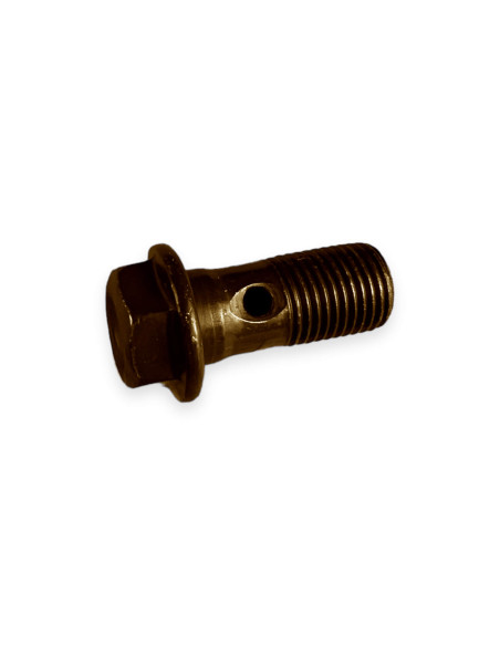 TORNILLO LINEA ECO BANJO / ECO STEEL BANJO BOLT (10X100)