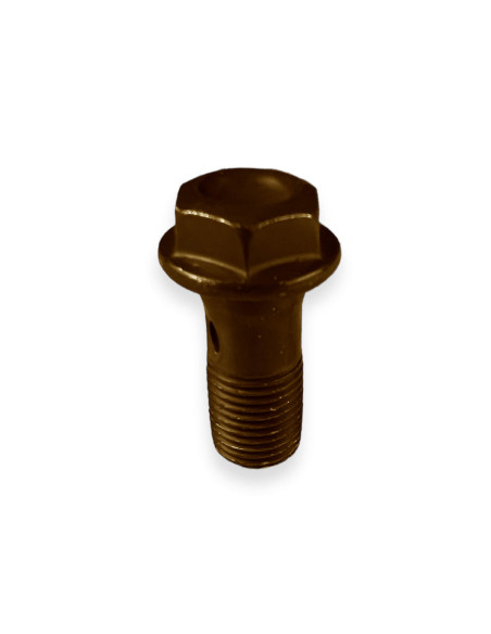TORNILLO LINEA ECO BANJO / ECO STEEL BANJO BOLT (10X100)