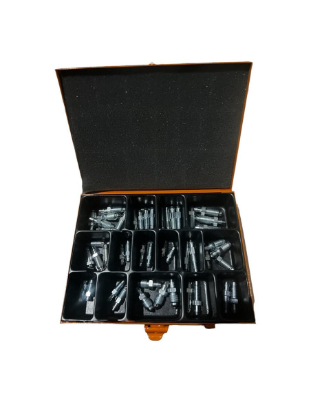 JUEGO DE TORNILLOS DE PURGA DE ACERO, CAJA VARIADA DE SANGRADORES