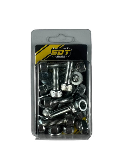 Set of 10 M8 allen screws for two-piece discs 25mm total length (excluding head) thread section 25mm