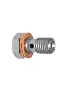 Racor tornillo banjo en acero 10x125 Longitud 24,5mm