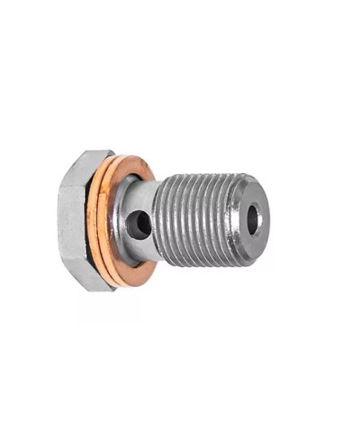 Racor tornillo banjo en acero 12x100...