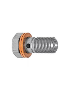 Racor tornillo banjo en acero 10x100 Longitud 27mm