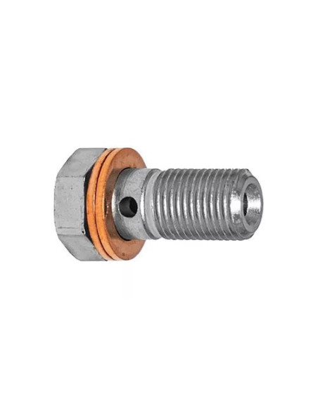 Racor tornillo banjo en acero 10x100 Longitud 27mm