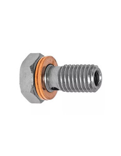 Racor tornillo banjo en acero 10x150 Longitud 27mm