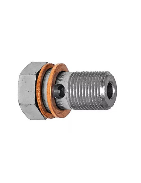 Racor tornillo banjo en acero 12x100 Longitud 28mm